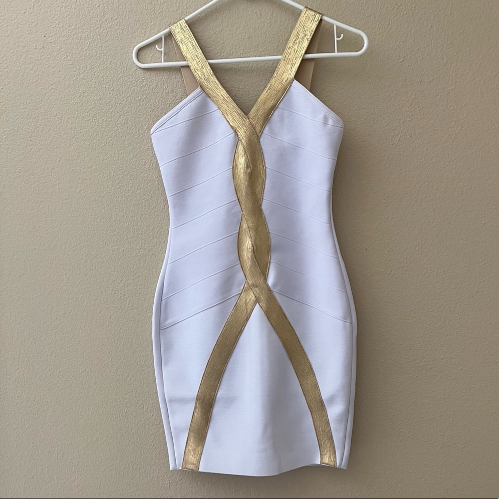 Venus Bodycon Dress